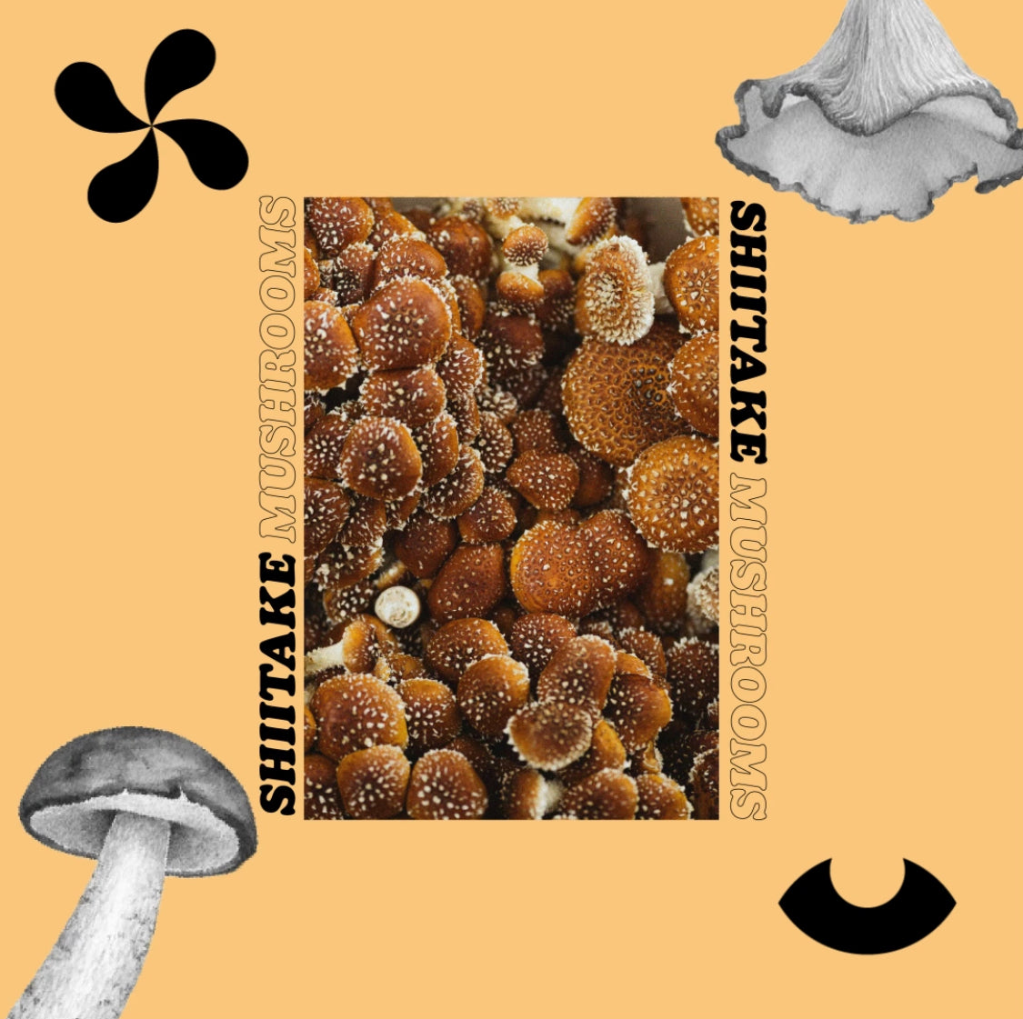 Shiitake Mushrooms