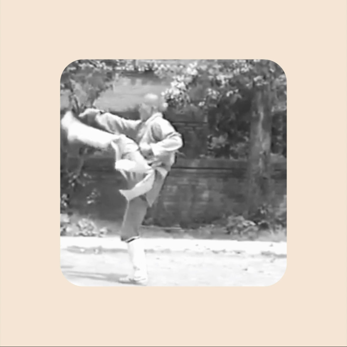 Shaolin Kung Fu