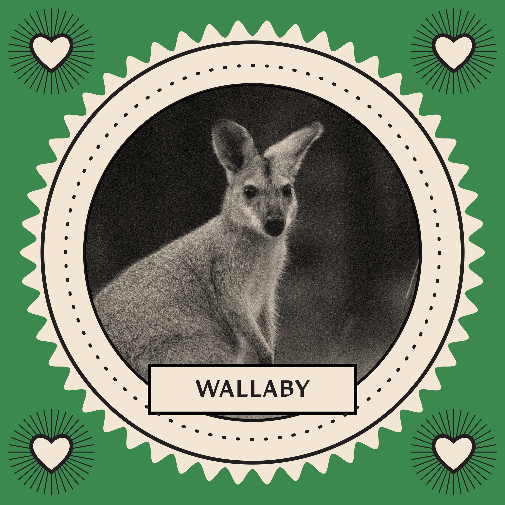Wallabies