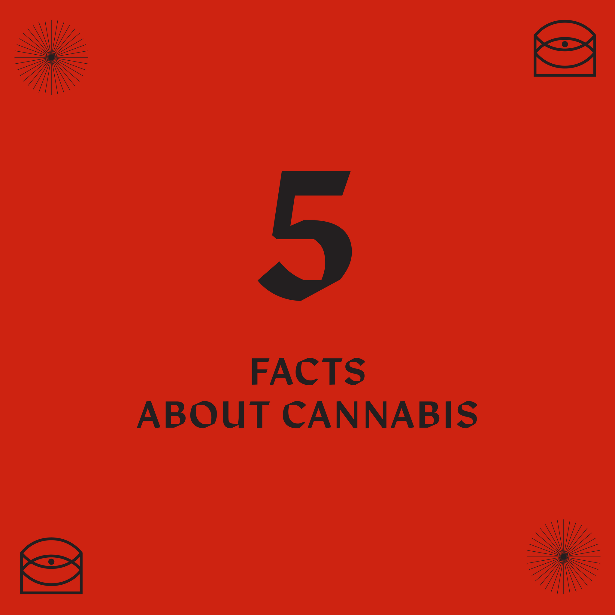 5 Facts About Cannabis