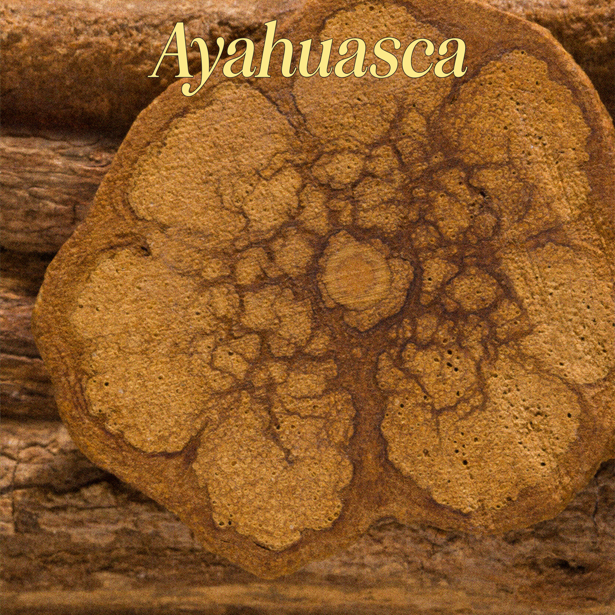 Ayahuasca
