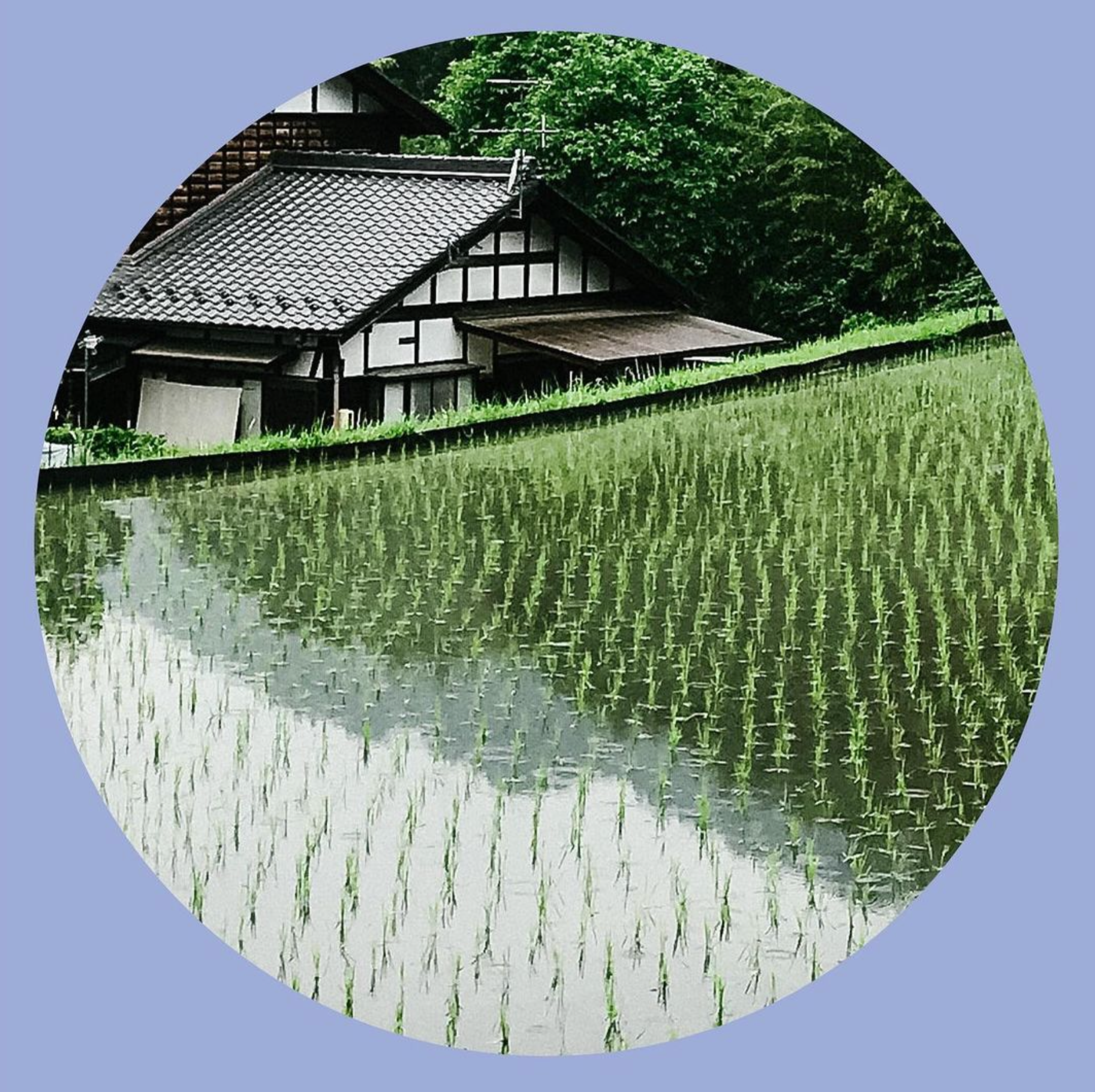 Farming around the World