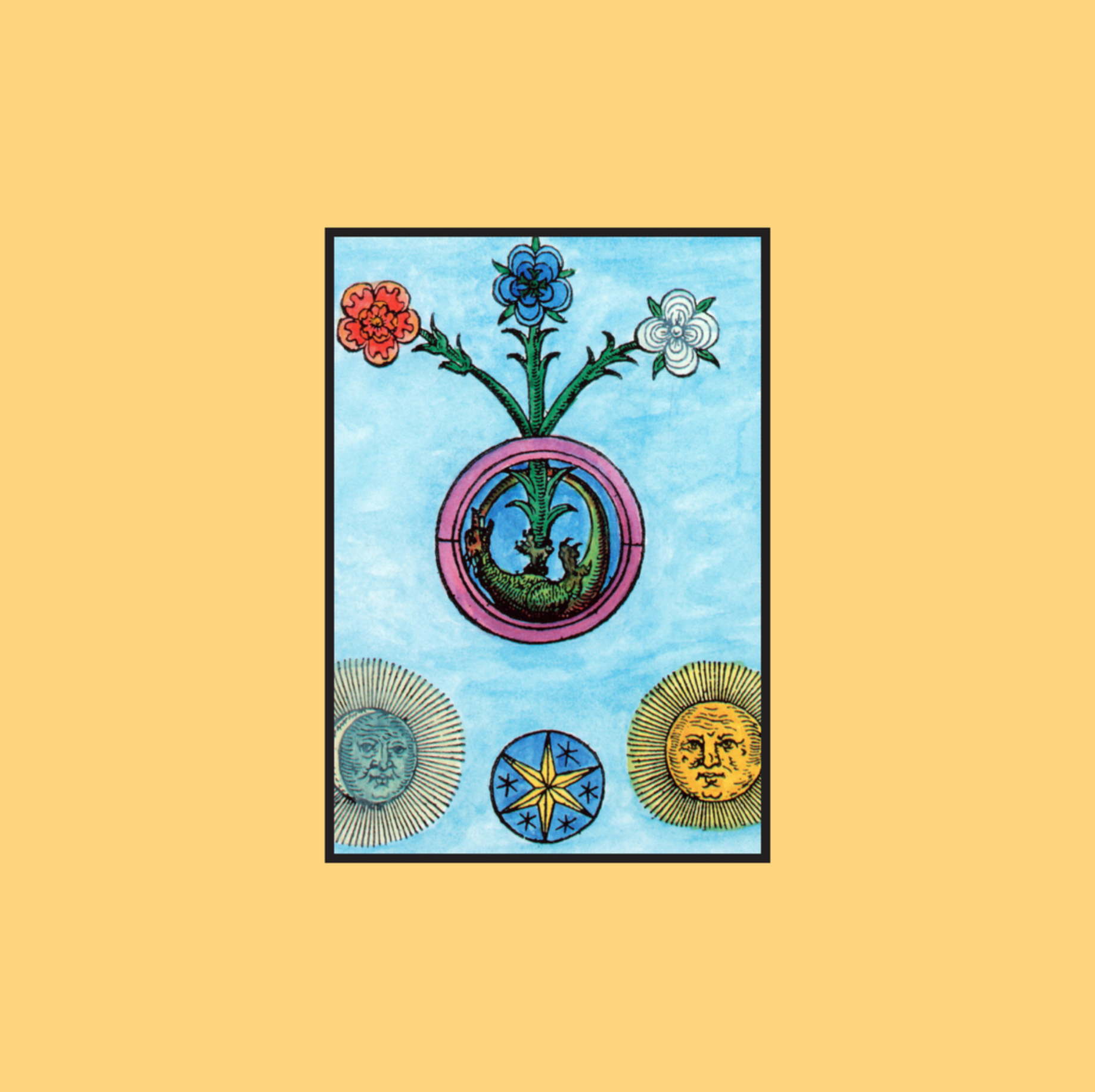 What is Alchemy