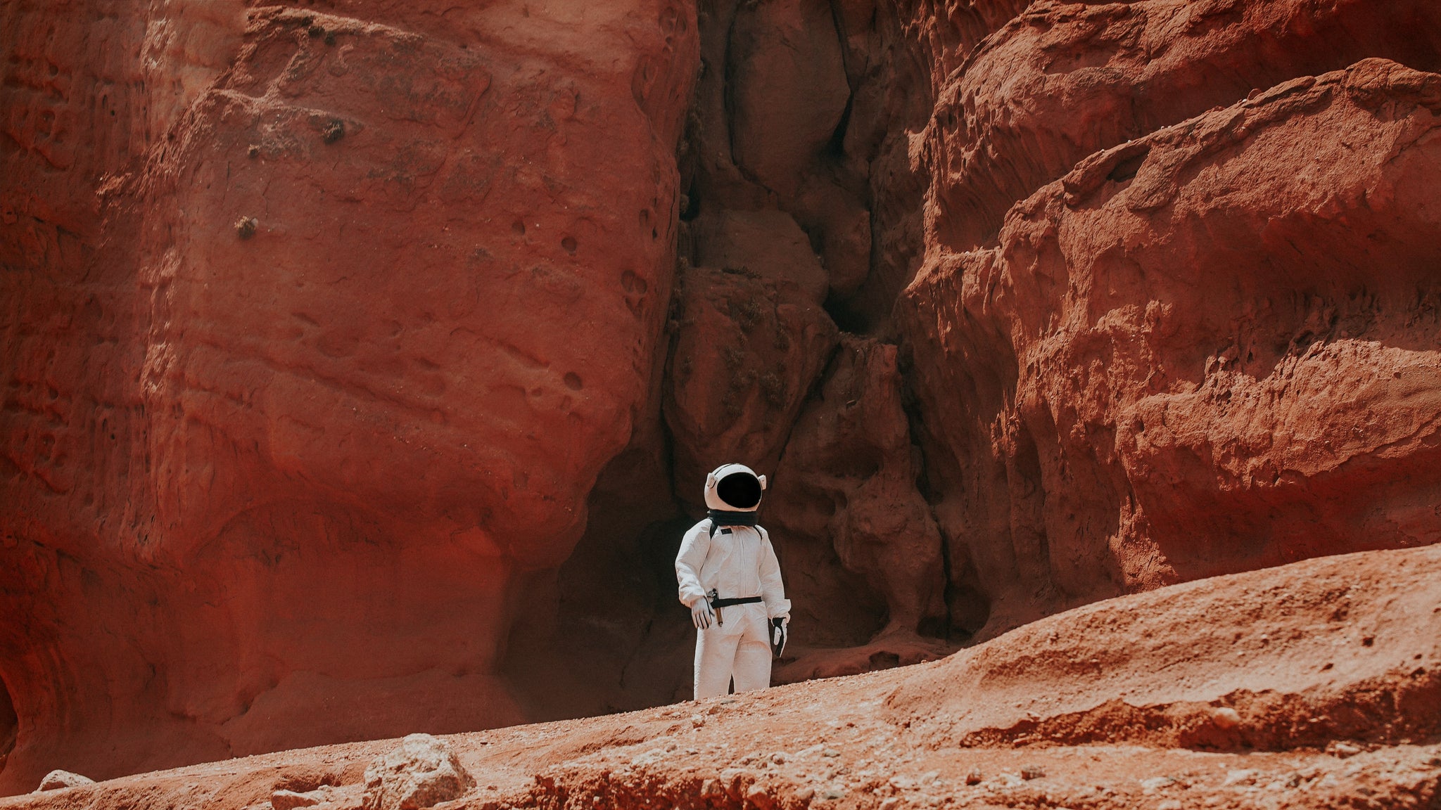 Cultivating Plants In Space